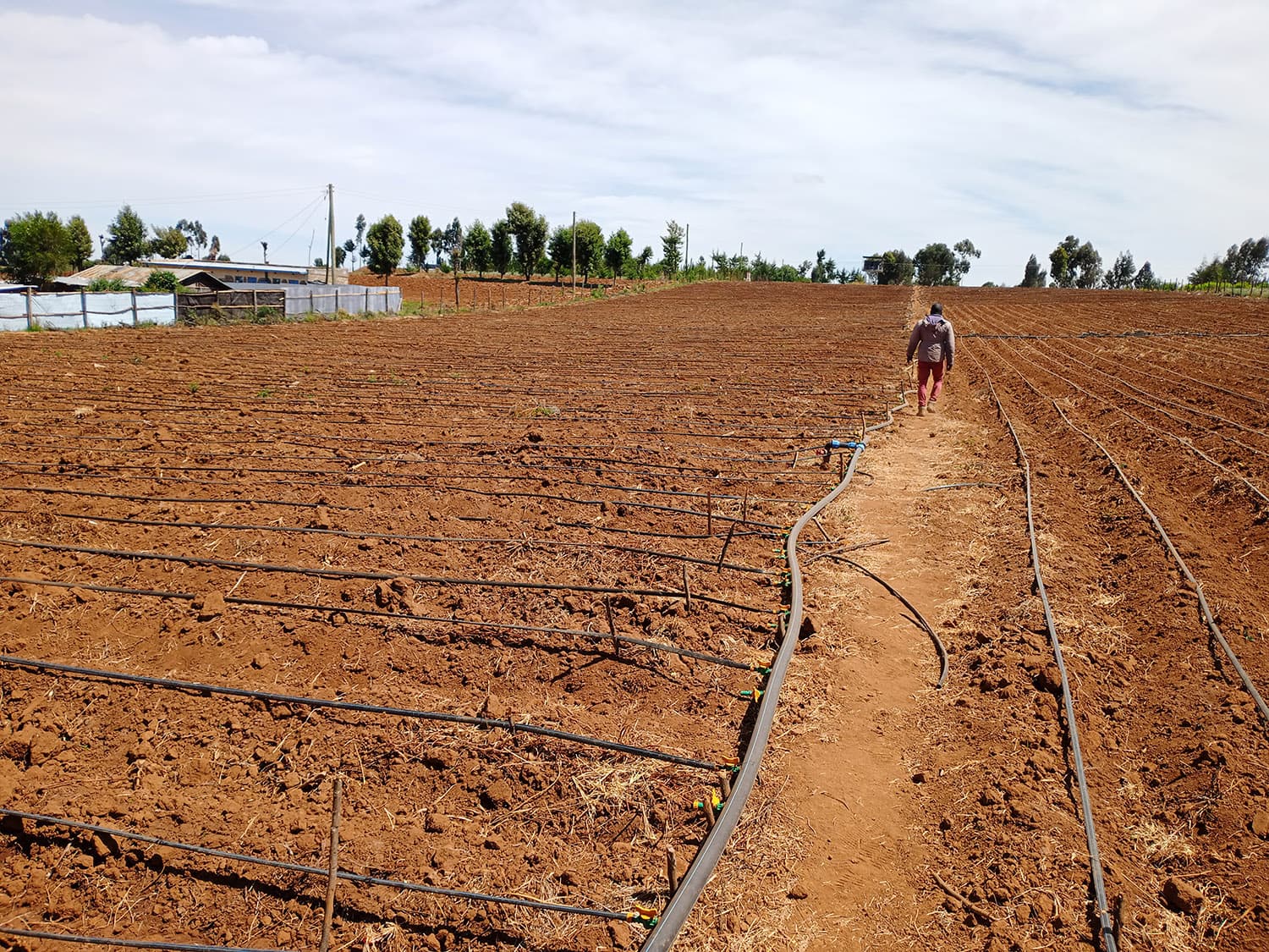 Irrigation Design & Installation